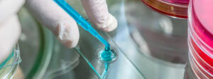 Microfiltración del agua