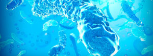 legionella en el agua