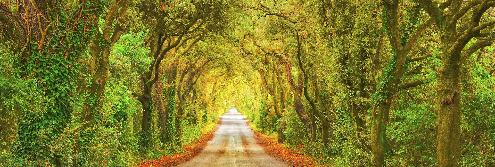 10 cosas que debes visitar en la Maremma