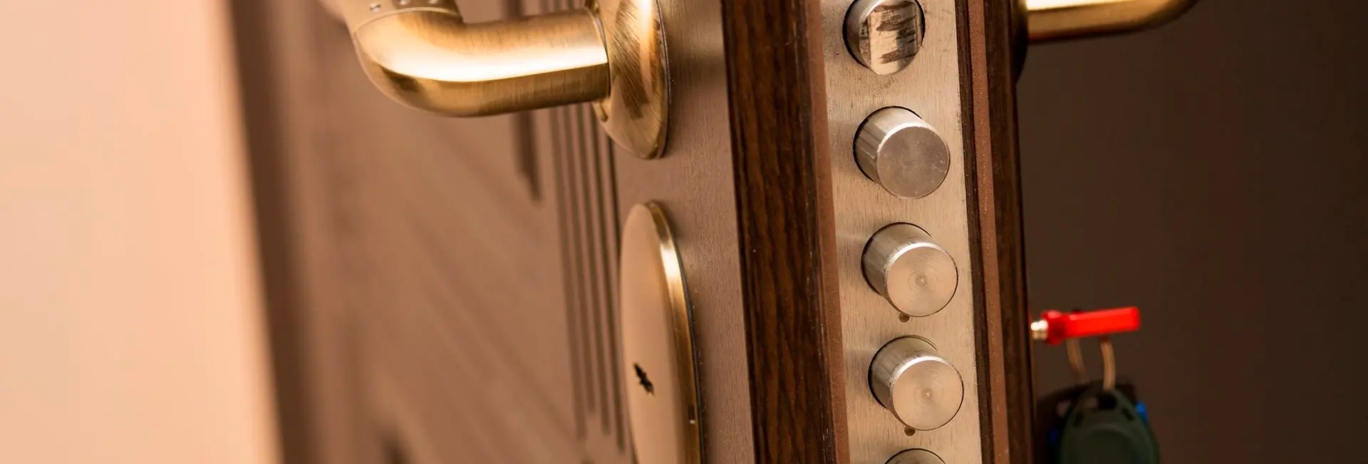 Blindaje de la puerta existente Blindaje de la puerta existente