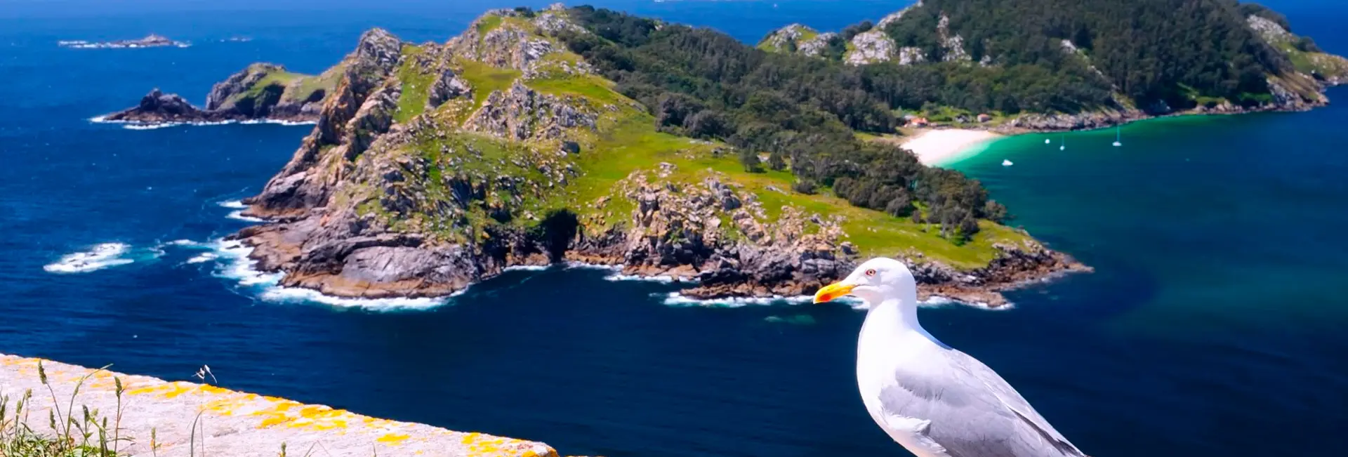 Islas Cíes Islas Cíes