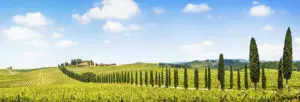 La postal mas bella de Italia la Toscana