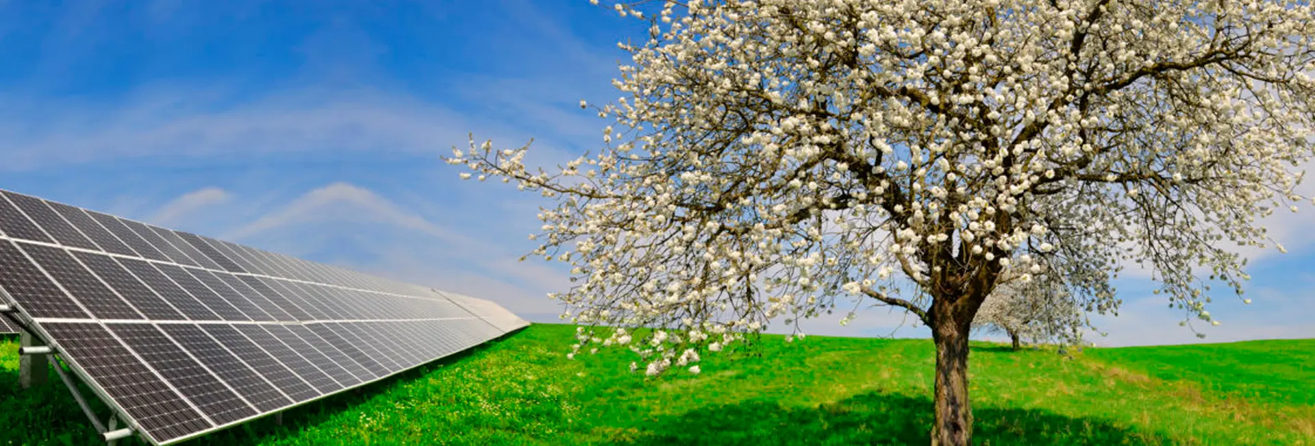 Beneficios de las granjas solares Beneficios de las granjas solares