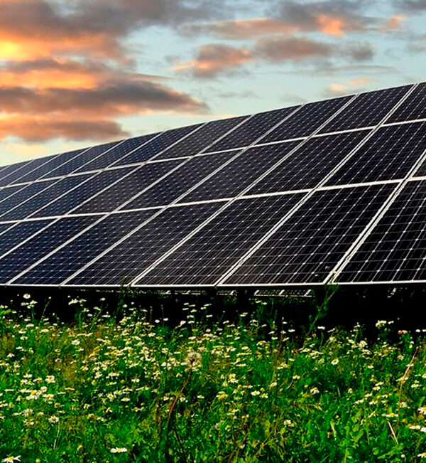 ¿Qué es una granja solar?
