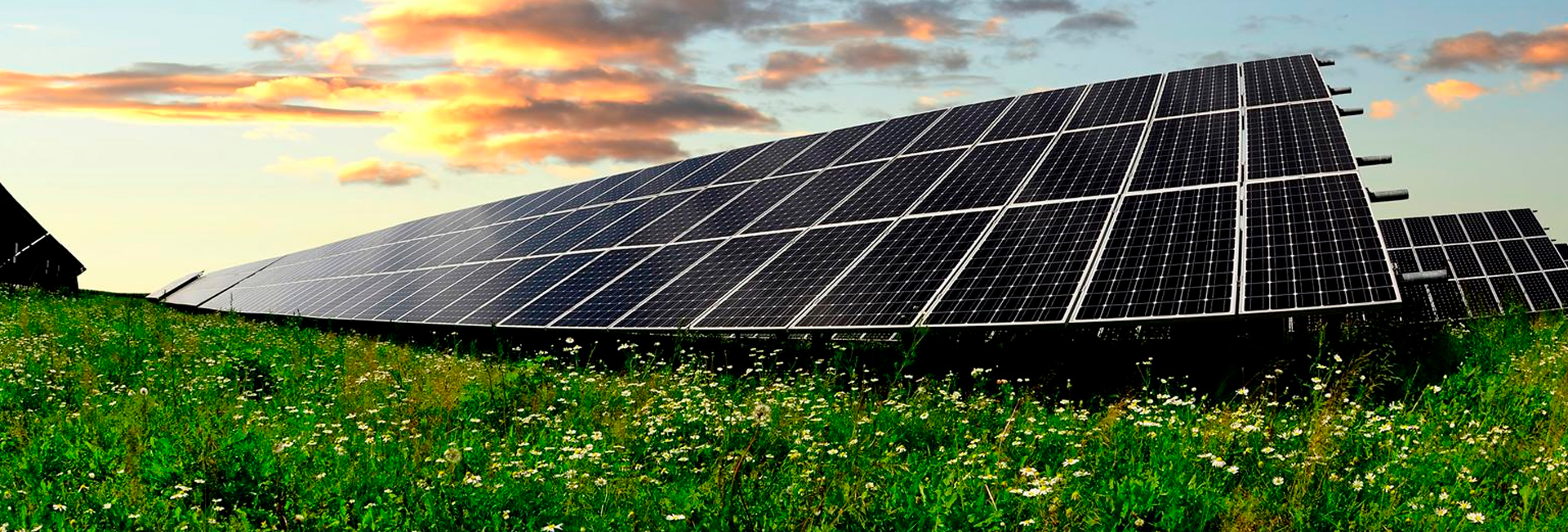 ¿Qué es una granja solar?