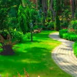 ¿Cómo diseñar un jardín?