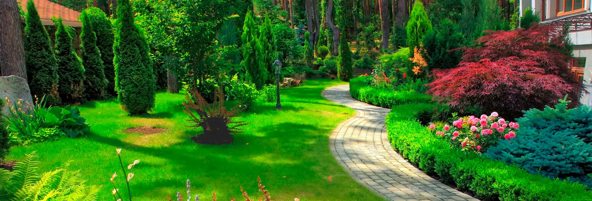 ¿Cómo diseñar un jardín?