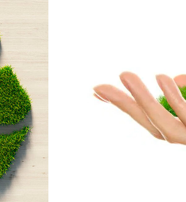 ¿Ventajas ecológicas del césped artificial?