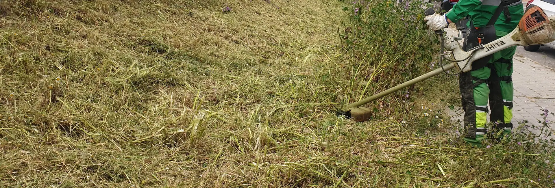 Razones para desbrozar una finca