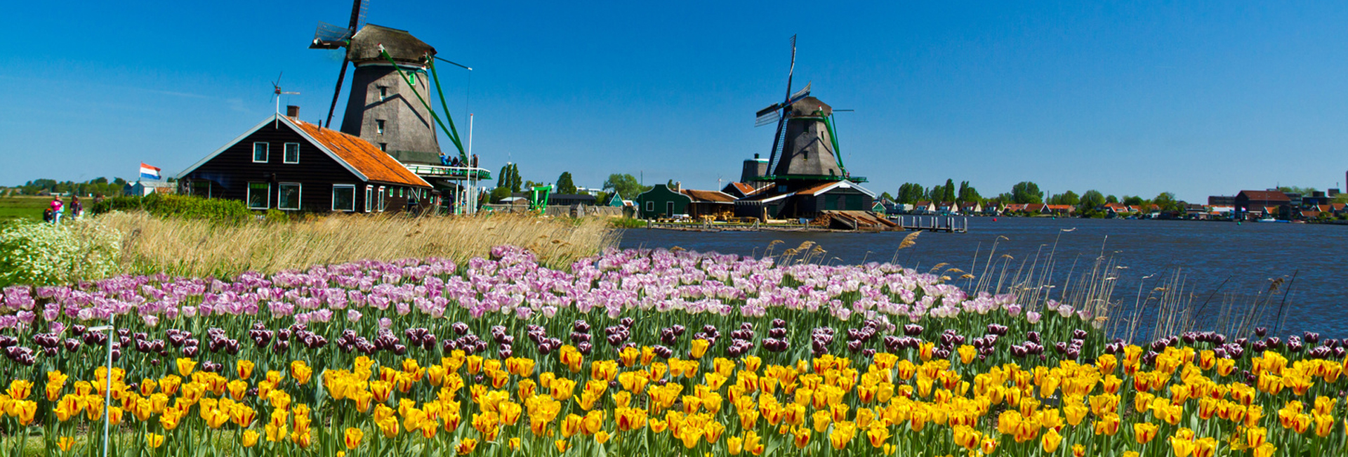 Holanda, tierra de tulipanes