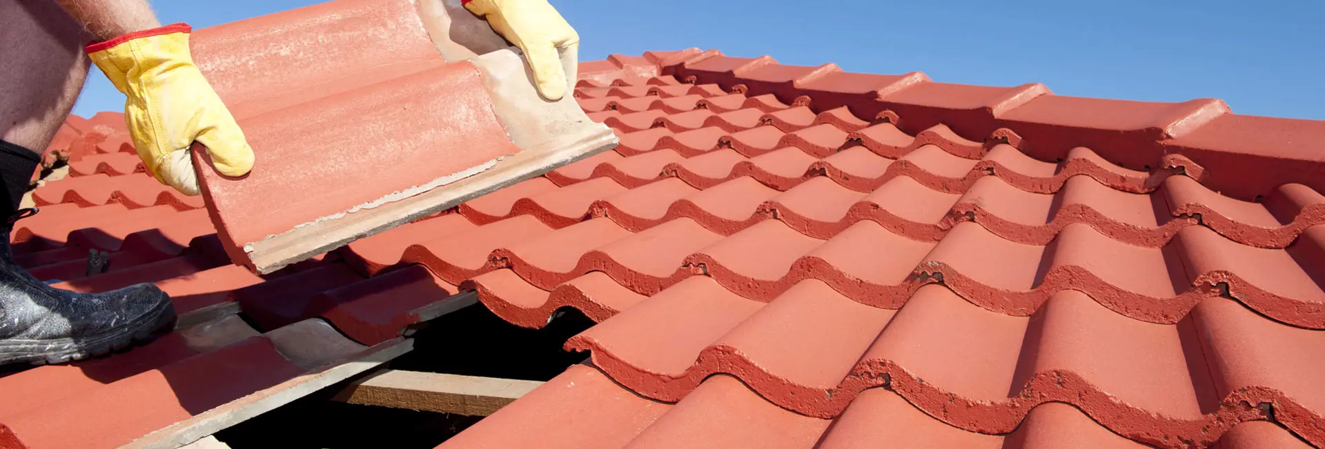 Profesionales en acción: experiencia que cuenta Profesionales en acción: experiencia que cuenta