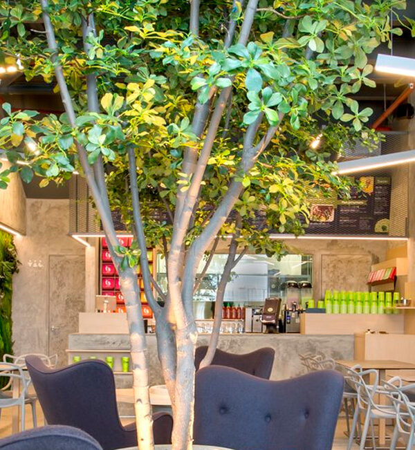 Jardines verticales artificiales, una inyección de naturaleza en los restaurantes