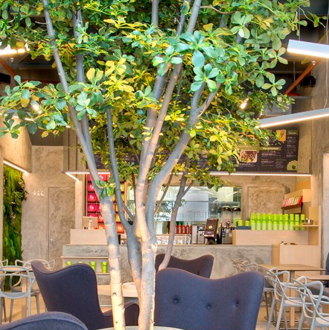 Jardines verticales artificiales, una inyección de naturaleza en los restaurantes