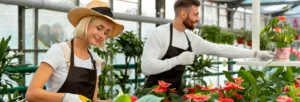 Cómo escoger plantas resistentes y duraderas según criterios técnicos