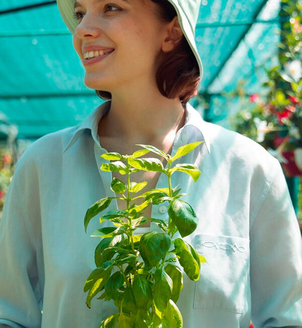 Las mejores plantas para tu hogar y jardín, según expertos en viveros