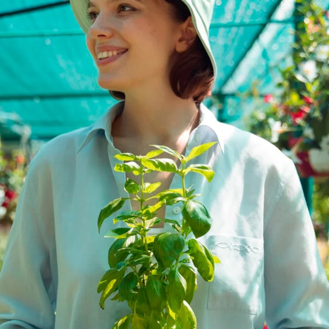 Las mejores plantas para tu hogar y jardín, según expertos en viveros