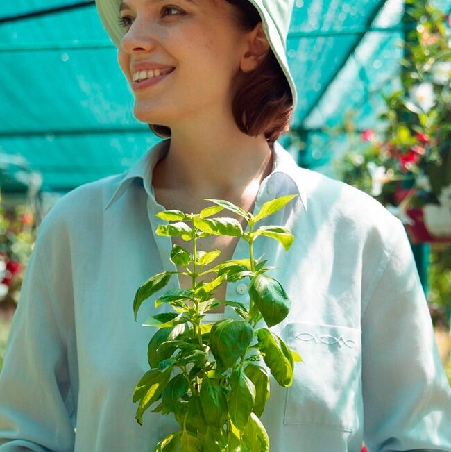 Las mejores plantas para tu hogar y jardín, según expertos en viveros