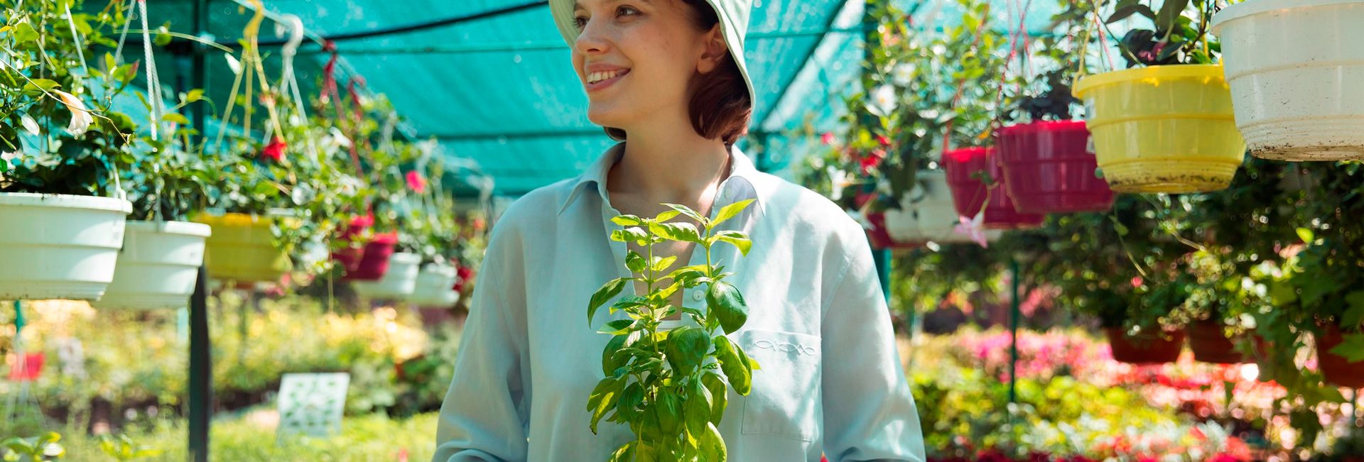 Las mejores plantas para tu hogar y jardín, según expertos en viveros