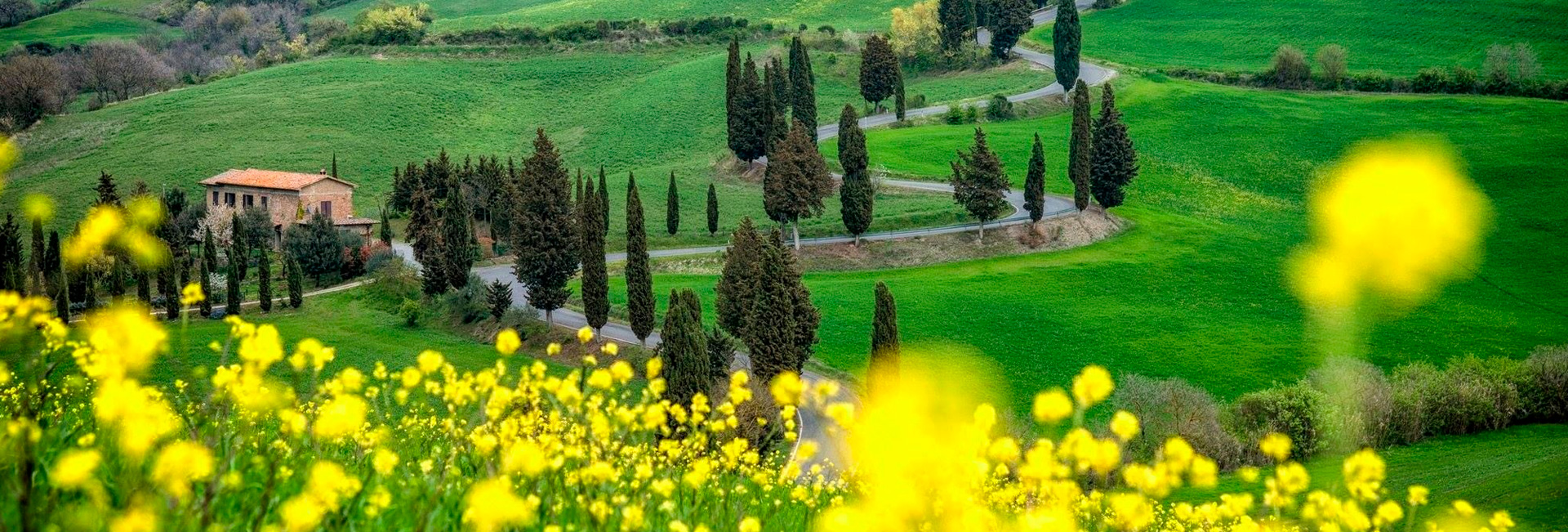 El despertar del Val d’Orcia: un paisaje de película El despertar del Val d’Orcia: un paisaje de película